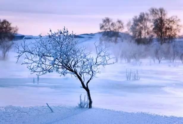 最低气温-21°C！受降雪影响，宁夏这些高速临时交通管制……
